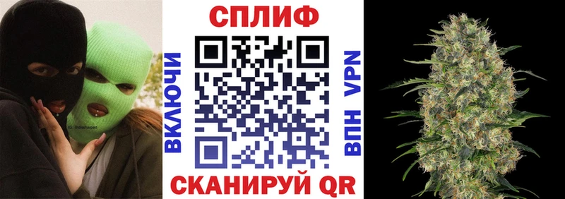 Где купить наркотики Отрадное Кетамин  Марихуана  Кокаин  МЕФ  Гашиш  Псилоцибиновые грибы 